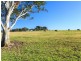 859 Sandy Creek Road, Quorrobolong NSW 2325