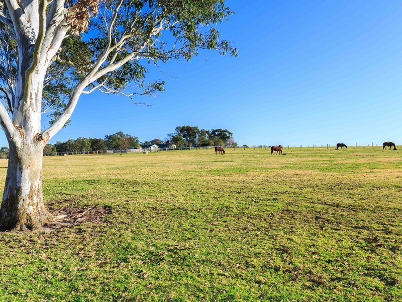 859 Sandy Creek Road, Quorrobolong NSW 2325