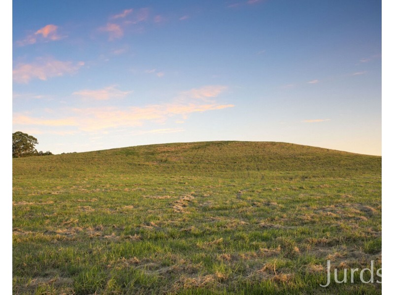 39 Cullami Street, Anambah NSW 2320