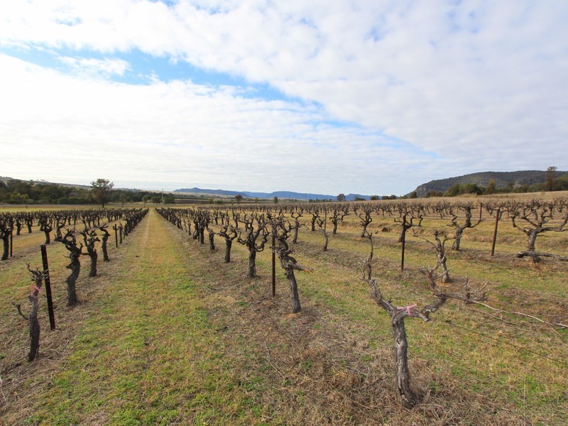 12/ Milbrodale Road, Broke NSW 2330