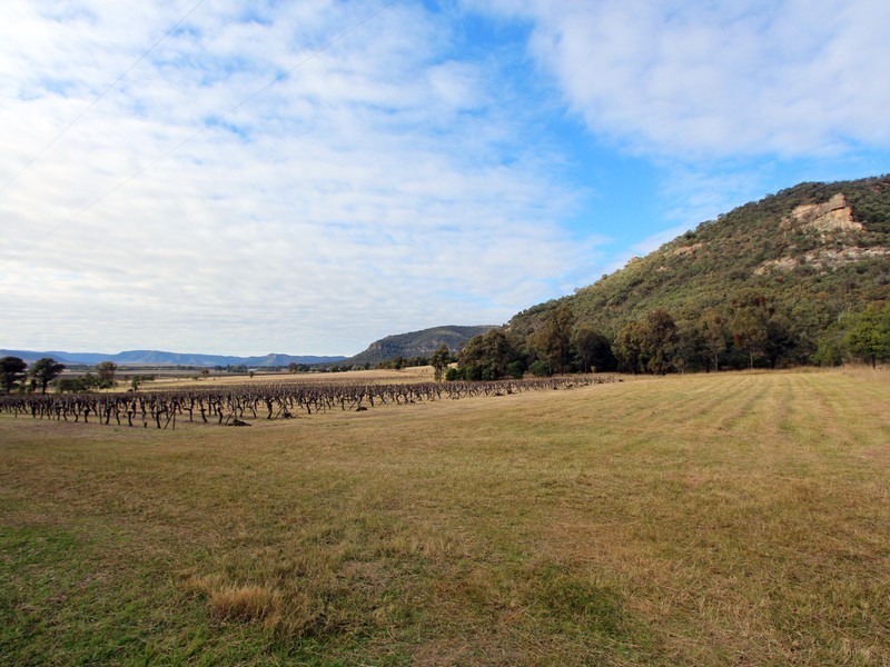 12/ Milbrodale Road, Broke NSW 2330