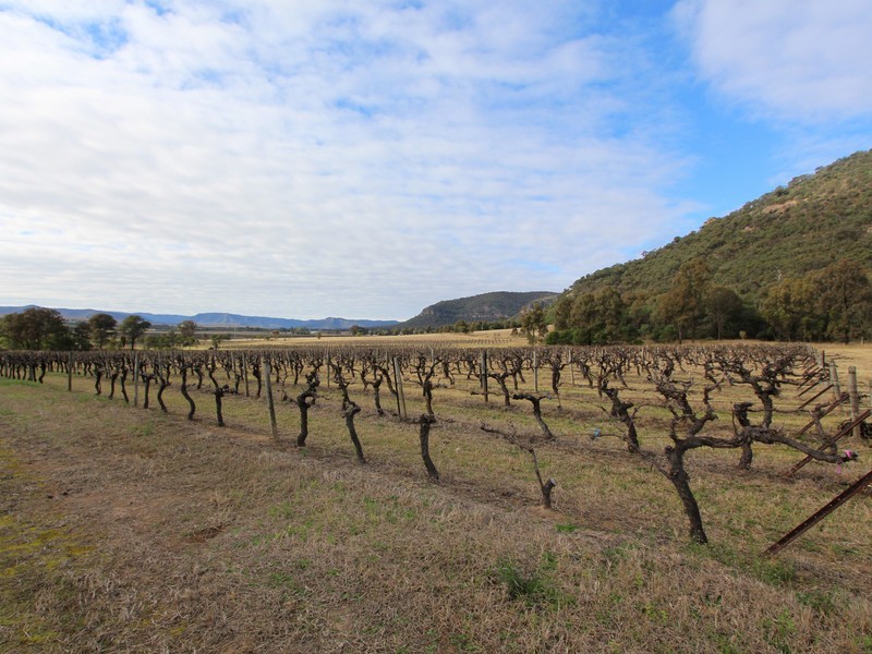 12/ Milbrodale Road, Broke NSW 2330