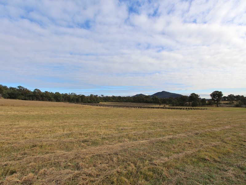 12/ Milbrodale Road, Broke NSW 2330