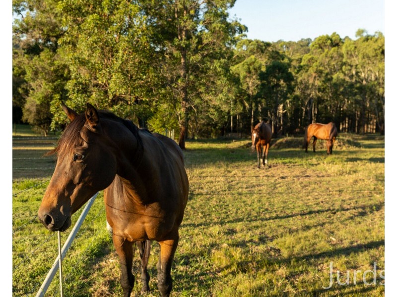 112 Wollong Road, Quorrobolong NSW 2325