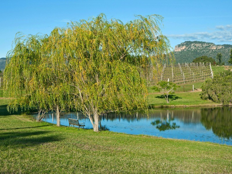 71 Adams Peak Road, Broke NSW 2330