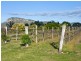 71 Adams Peak Road, Broke NSW 2330
