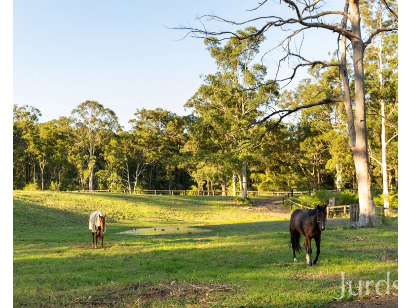 207 O’Donnelltown Road, West Wallsend NSW 2286