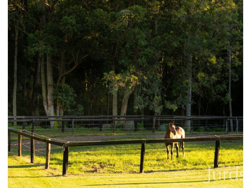 207 O’Donnelltown Road, West Wallsend NSW 2286