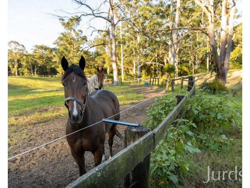 207 O’Donnelltown Road, West Wallsend NSW 2286