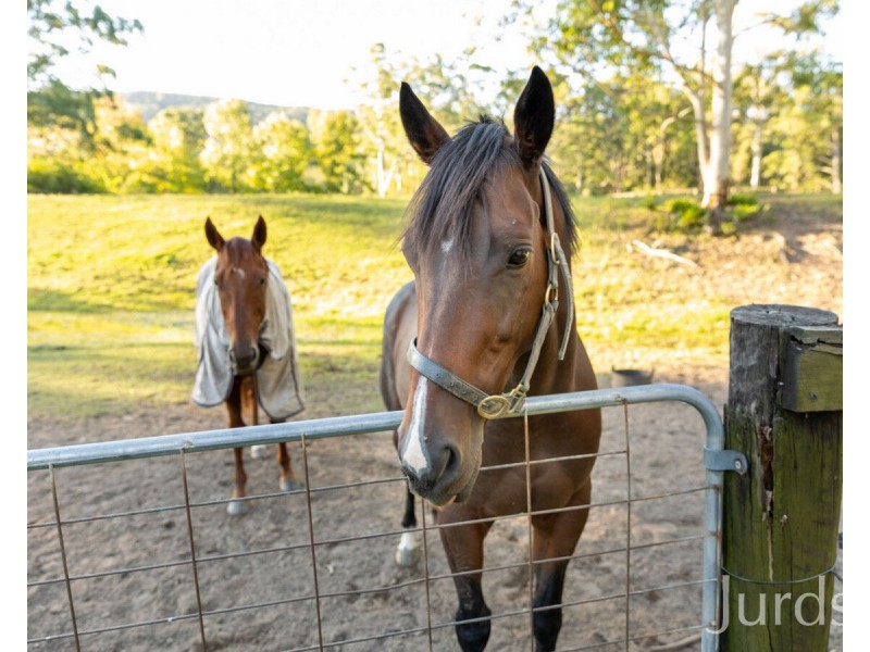 207 O’Donnelltown Road, West Wallsend NSW 2286