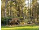 10 Dunlop Drive, Paxton NSW 2325