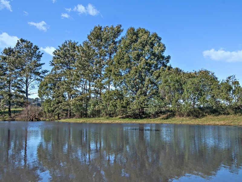 101 Knockfin Road, Luskintyre NSW 2321