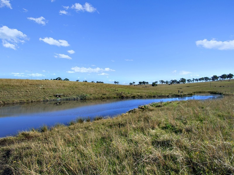 101 Knockfin Road, Luskintyre NSW 2321