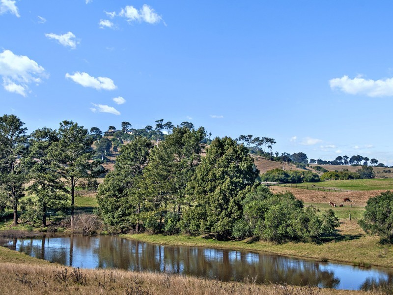 101 Knockfin Road, Luskintyre NSW 2321