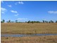 101 Knockfin Road, Luskintyre NSW 2321