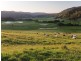 Congewai NSW 2325