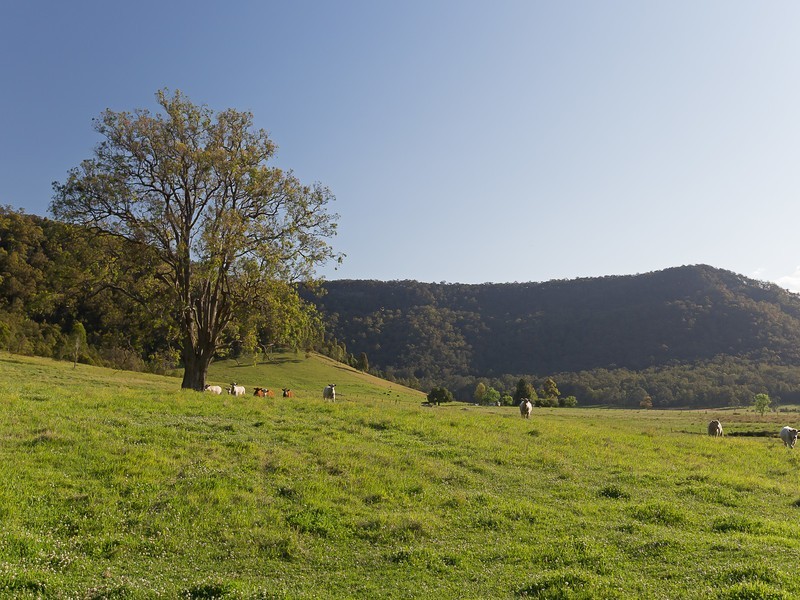Congewai NSW 2325