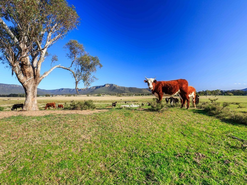 44 – 54 Cochrane Street, Broke NSW 2330