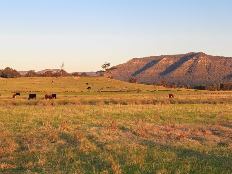 44 – 54 Cochrane Street, Broke NSW 2330