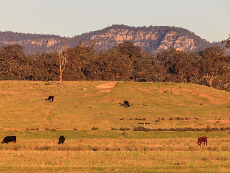 44 – 54 Cochrane Street, Broke NSW 2330