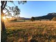121 Wollombi Road, Broke NSW 2330