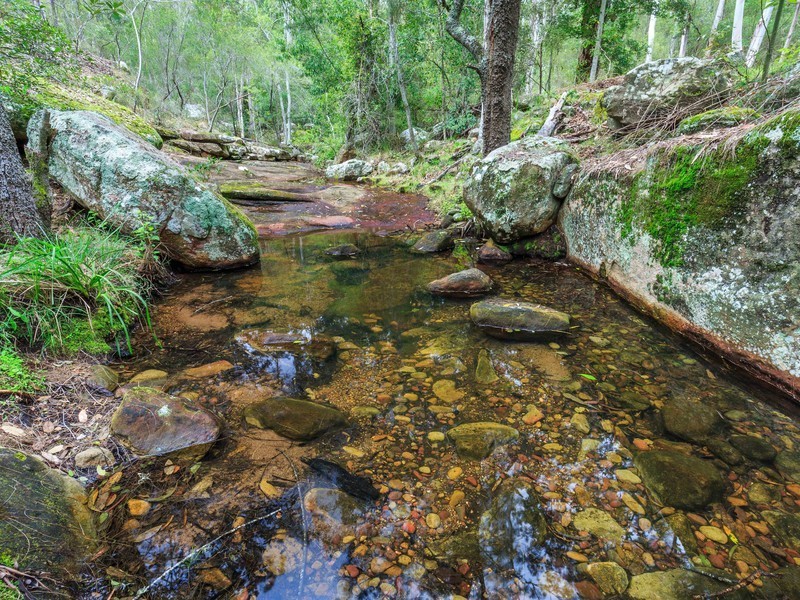 121 Wollombi Road, Broke NSW 2330