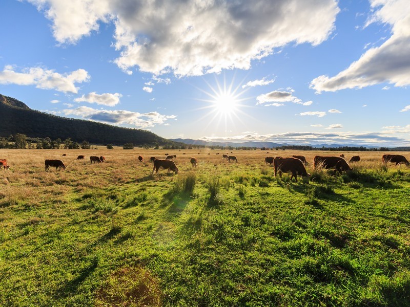 121 Wollombi Road, Broke NSW 2330