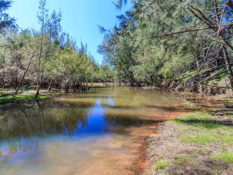 121 Wollombi Road, Broke NSW 2330