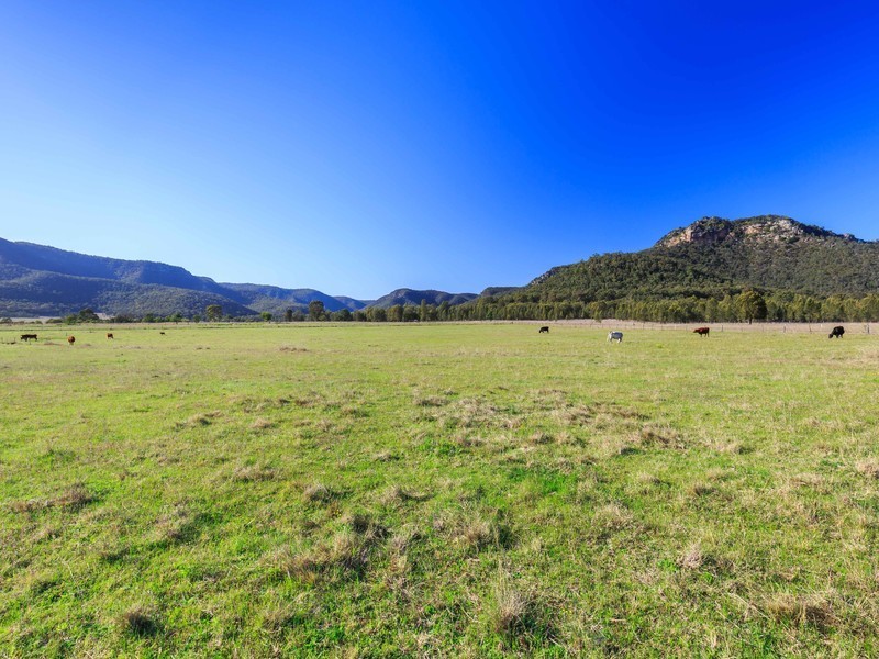 121 Wollombi Road, Broke NSW 2330