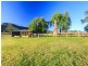 121 Wollombi Road, Broke NSW 2330
