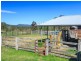 121 Wollombi Road, Broke NSW 2330