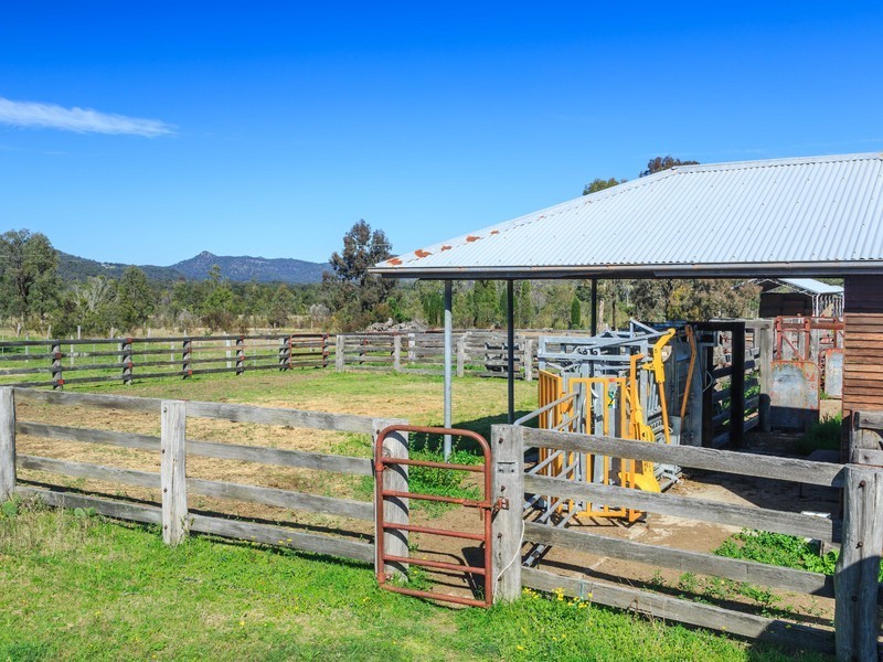 121 Wollombi Road, Broke NSW 2330