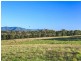 121 Wollombi Road, Broke NSW 2330