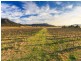 Oakley Lane, Broke NSW 2330
