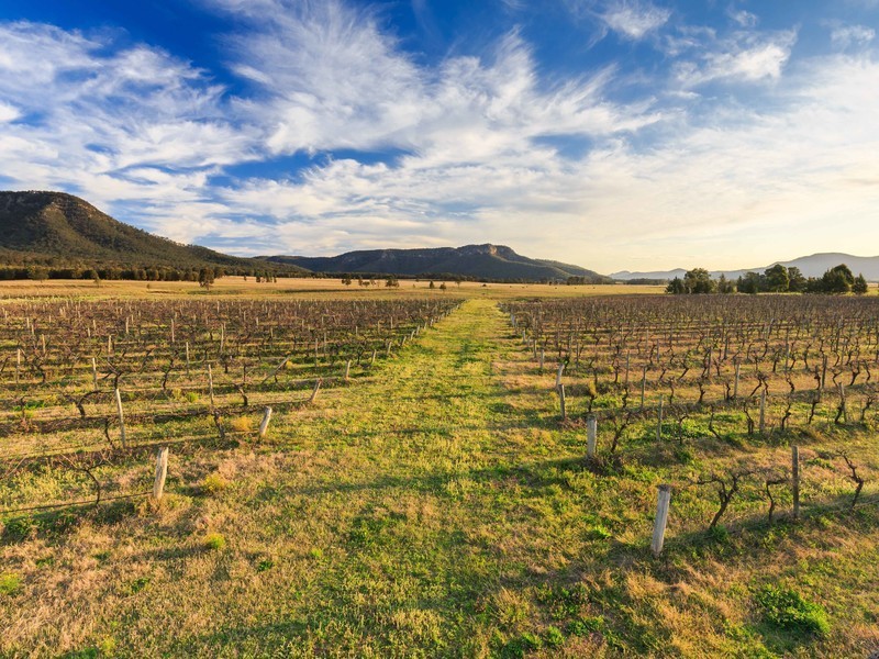 Oakley Lane, Broke NSW 2330