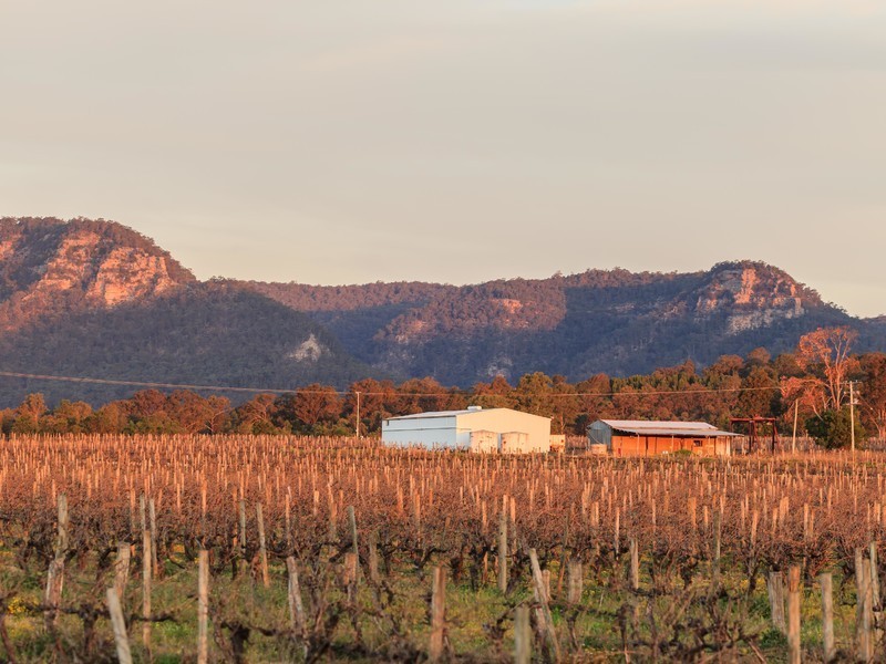 Oakley Lane, Broke NSW 2330