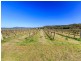 Oakley Lane, Broke NSW 2330