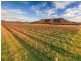 Oakley Lane, Broke NSW 2330