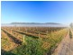 Oakley Lane, Broke NSW 2330