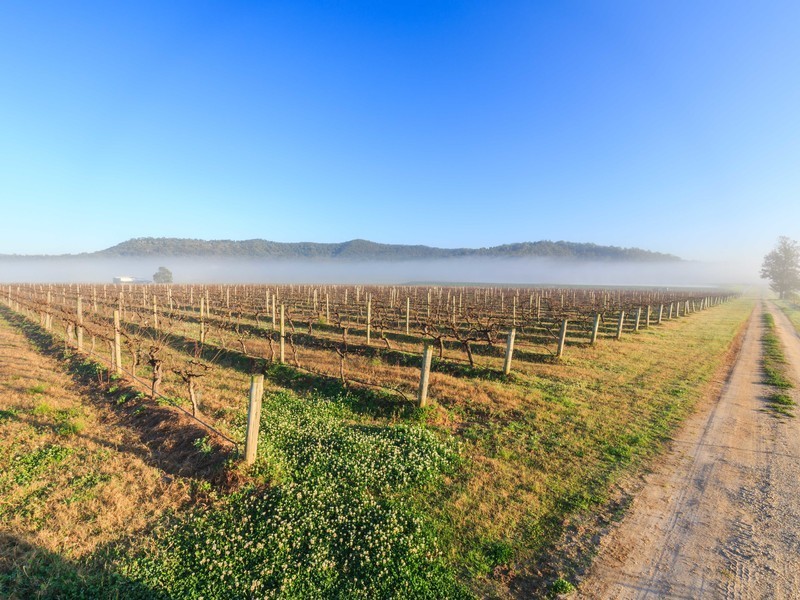 Oakley Lane, Broke NSW 2330