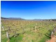 Oakley Lane, Broke NSW 2330