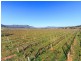 Oakley Lane, Broke NSW 2330