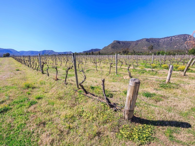 Oakley Lane, Broke NSW 2330