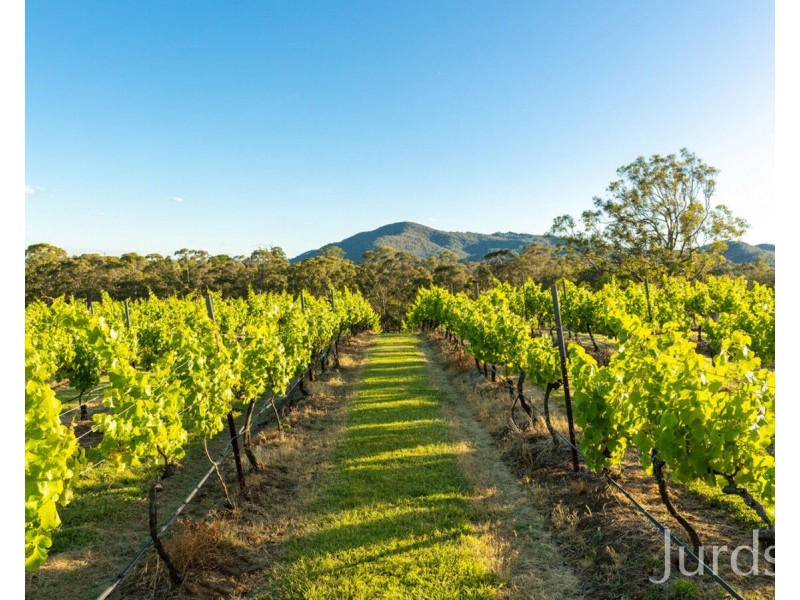 658 De Beyers Road, Pokolbin NSW 2320