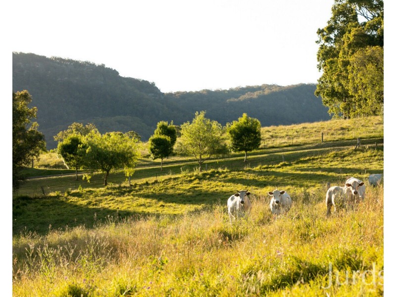 658 De Beyers Road, Pokolbin NSW 2320