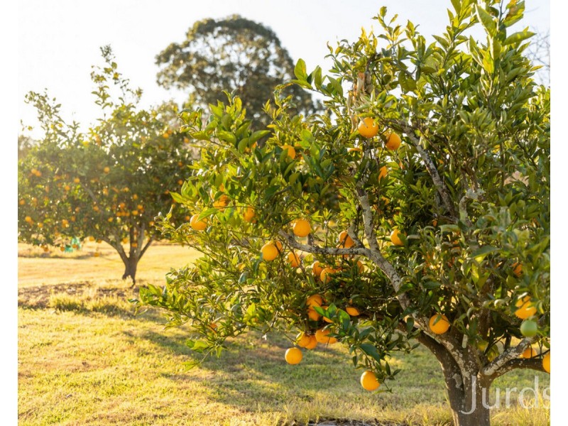 168 Lomas Lane, Nulkaba NSW 2325