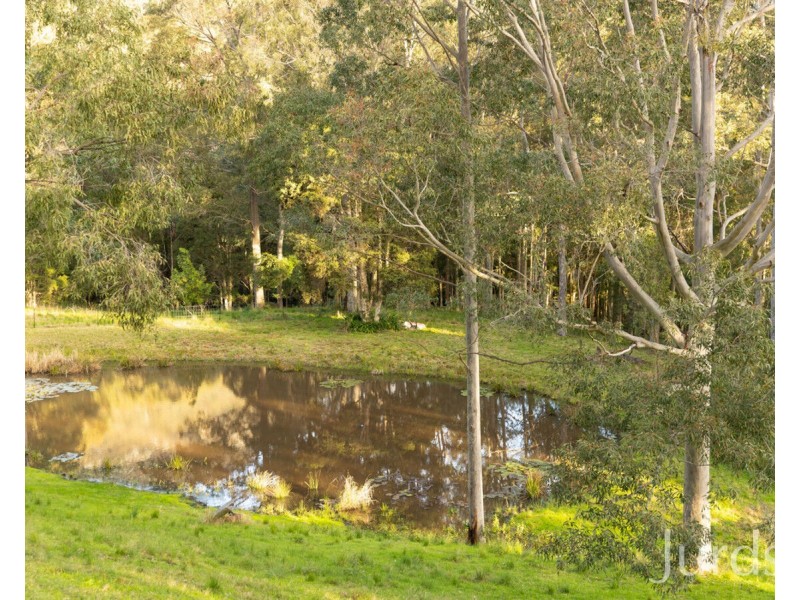 131 Rodney Road, Mount Vincent NSW 2323