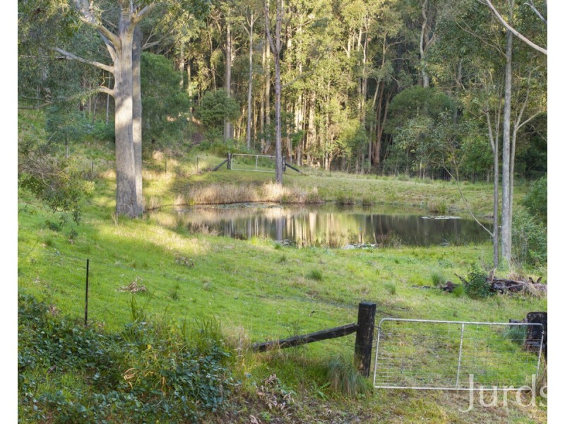 131 Rodney Road, Mount Vincent NSW 2323