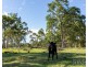 Lot 7, 347 East Seaham Road, East Seaham NSW 2324
