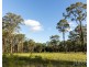 Lot 7, 347 East Seaham Road, East Seaham NSW 2324